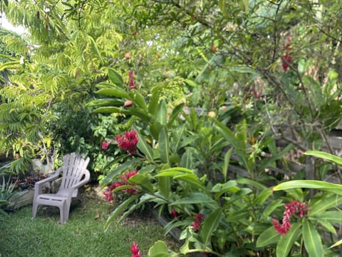 Garden, Garden