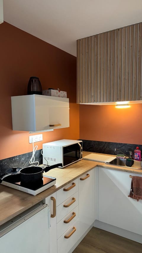 Kitchen or kitchenette, stove