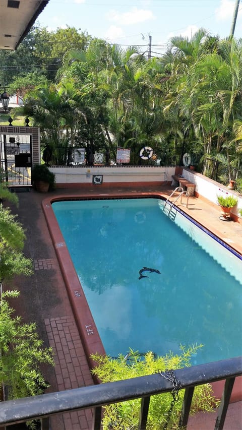 Pool view, Swimming pool