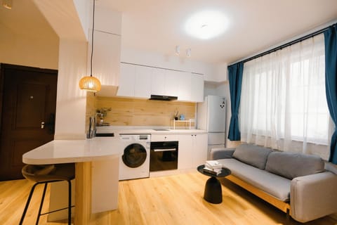 Kitchen or kitchenette, Living room, Seating area, Dining area, washing machine, dryer