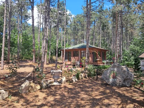 Property building, Garden