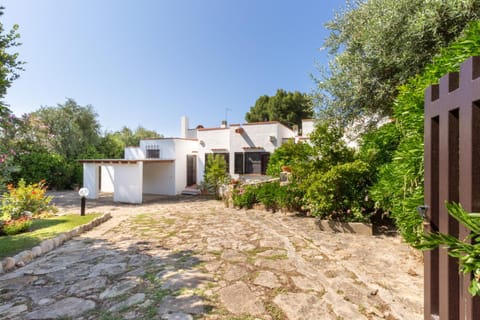 Property building, Garden, Garden view