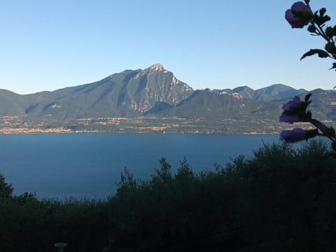 Lake view