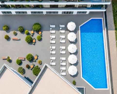 Day, Bird's eye view, Pool view, Swimming pool, sunbed