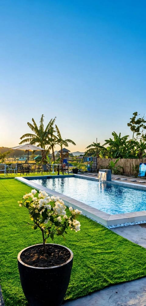 Swimming pool