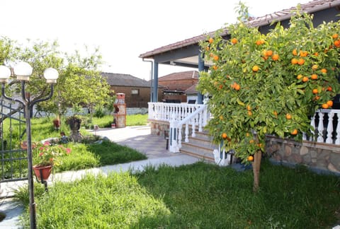 Property building, Spring, Garden, Garden view