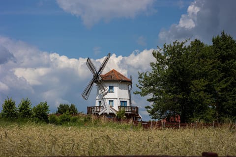 Property building, Day, Natural landscape