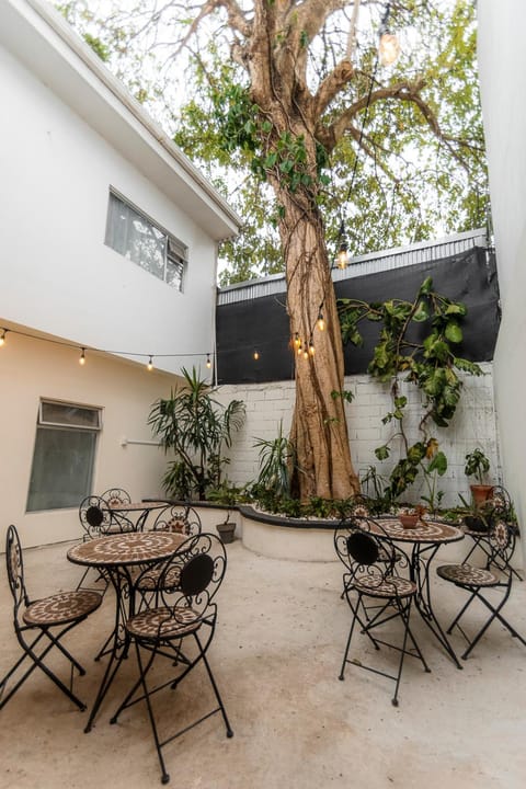 Patio, Restaurant/places to eat, Garden
