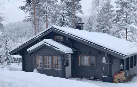 Property building, Winter