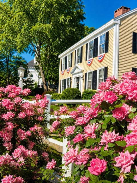 Spring, Garden, Garden view
