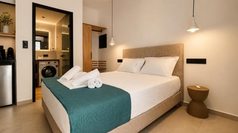 Bed, Kitchen or kitchenette, Photo of the whole room, Bedroom, towels, wardrobe, washing machine, air conditioner