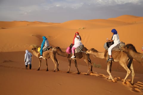 Natural landscape, Activities, Animals