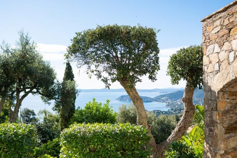 Natural landscape, Sea view