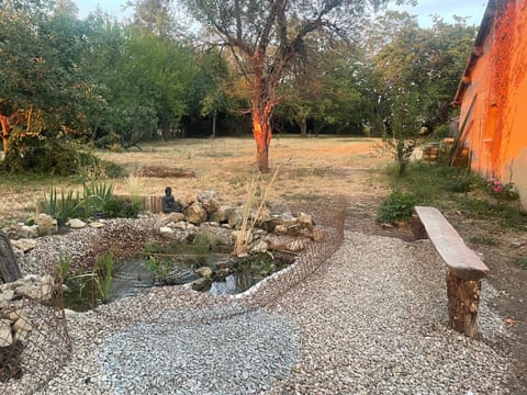 Garden, Inner courtyard view