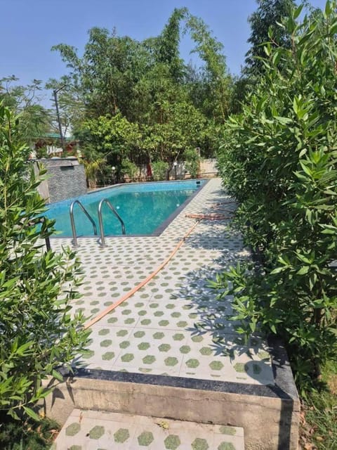 Garden, Garden view, Pool view, Swimming pool