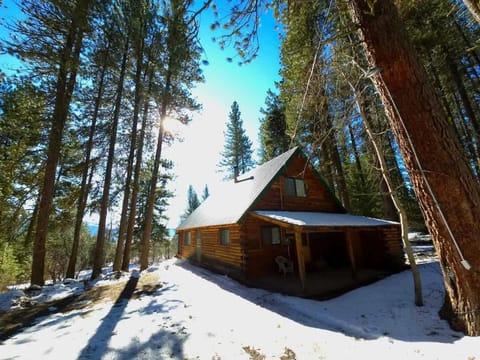 Property view