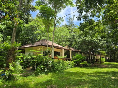 Property building, Spring, Natural landscape, Garden, Garden view