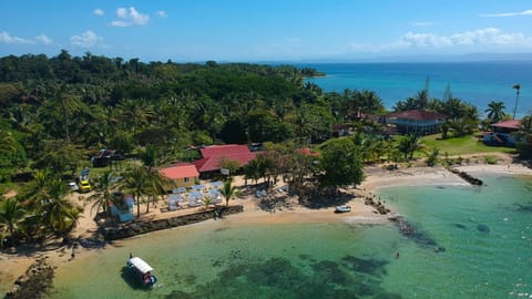 Staff, Bird's eye view, Beach, Sea view, Family