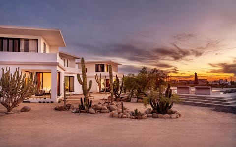 Property building, Natural landscape, Garden, Sunset