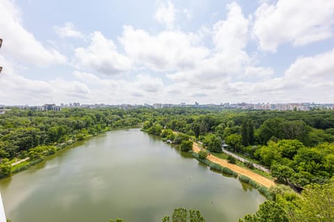 Natural landscape, Lake view