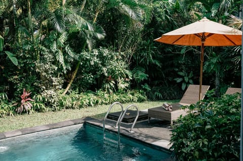 Natural landscape, Garden, Garden view, Swimming pool, Swimming pool, sunbed