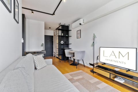 TV and multimedia, Living room, Seating area, Entertainment