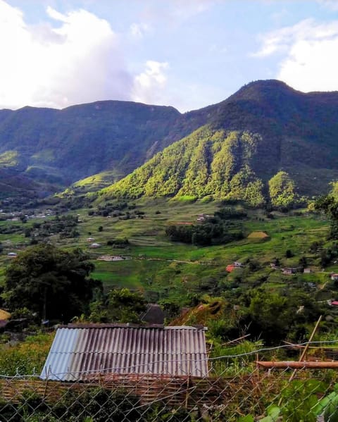 View (from property/room)