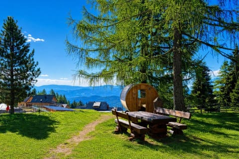 Spring, Day, Natural landscape, Summer, Garden, Sauna, Balcony/Terrace, Evening entertainment, Garden view, Mountain view