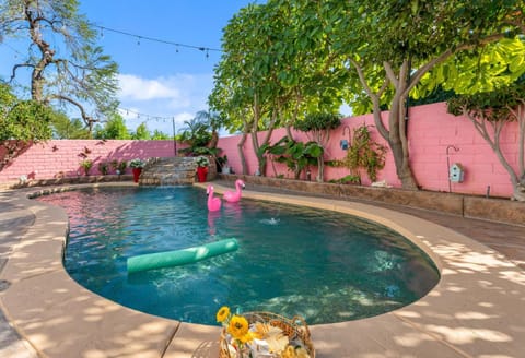 Day, Garden, Garden view, Pool view, Swimming pool