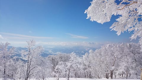 Off site, Natural landscape, Winter, Skiing