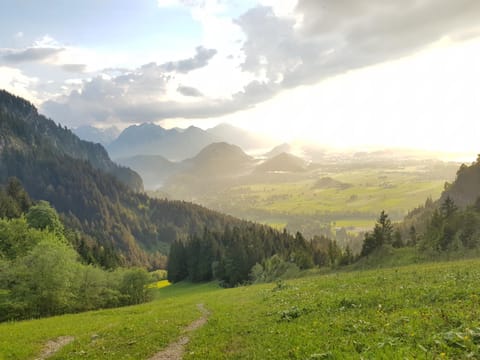 Natural landscape