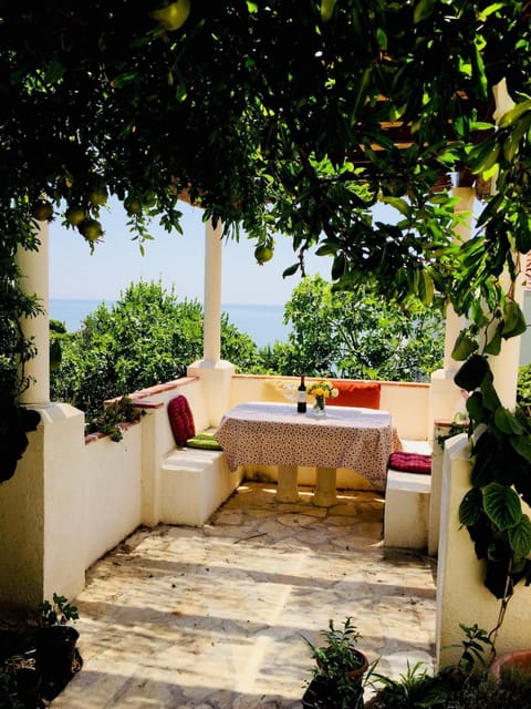 Garden, Balcony/Terrace, Balcony/Terrace