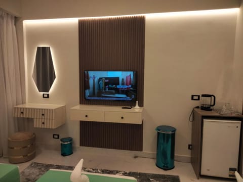TV and multimedia