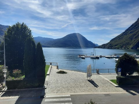 Lake view