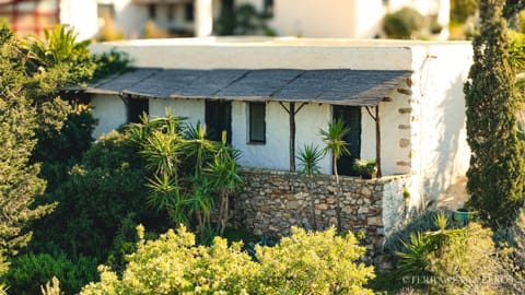 Property building, Day, Garden, Garden view