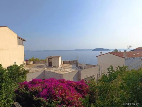 Garden, Balcony/Terrace