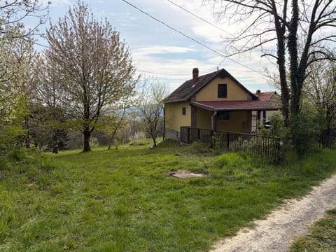 Property building, Natural landscape, Garden, Garden view