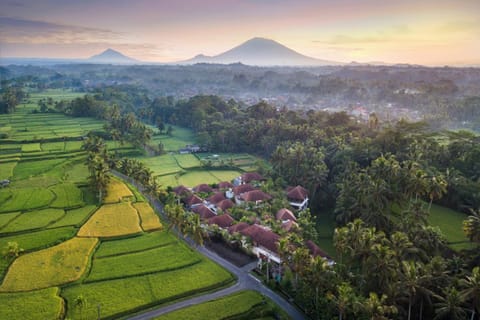 Property building, Bird's eye view