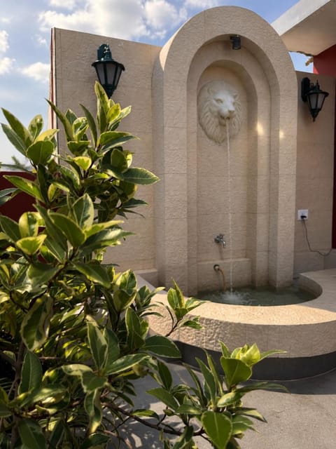 Day, Garden, Garden view