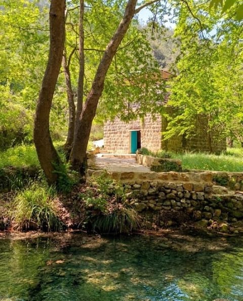 Property building, Spring, Natural landscape, Garden, Garden view, Landmark view, River view