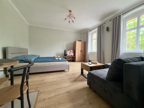 Bed, Living room, Photo of the whole room, Seating area, Bedroom