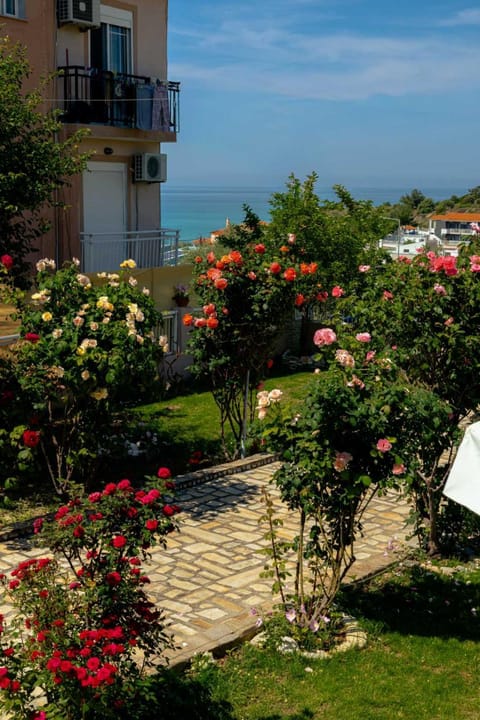 Garden, Sea view