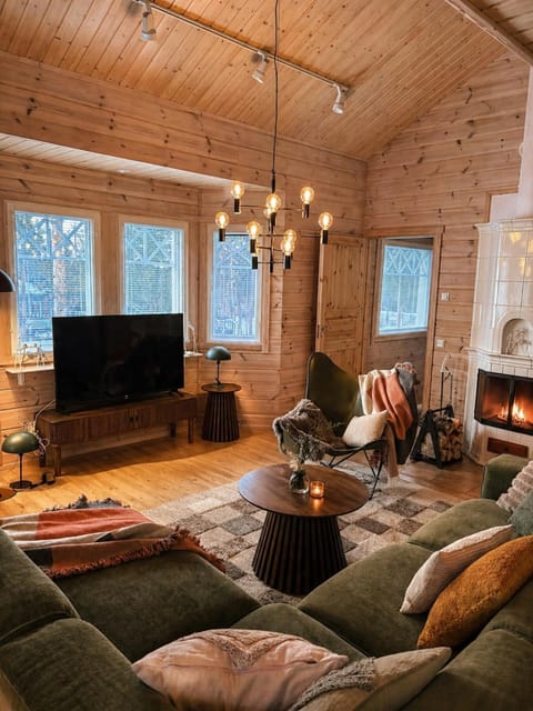 TV and multimedia, Living room, Seating area, Evening entertainment, fireplace