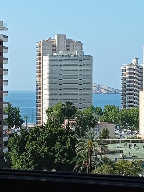 Sea view