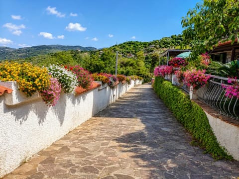 View (from property/room), Street view, Inner courtyard view
