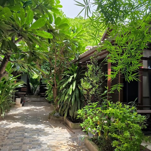 Day, Garden view