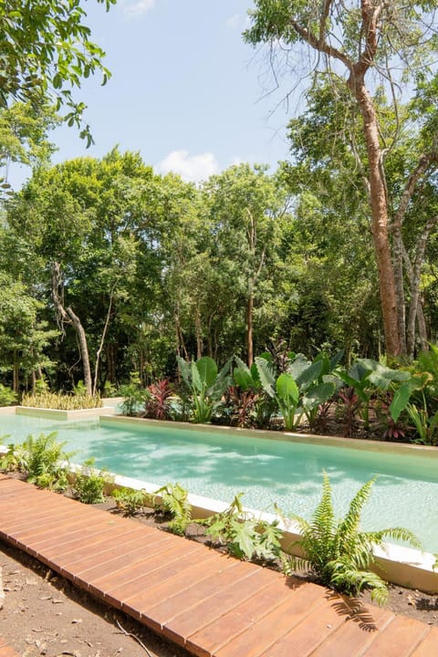 Garden, Swimming pool