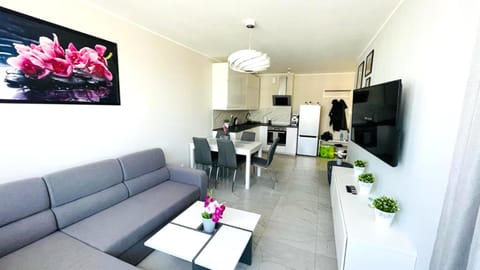 Communal lounge/ TV room, Kitchen or kitchenette, Living room, Seating area, Dining area