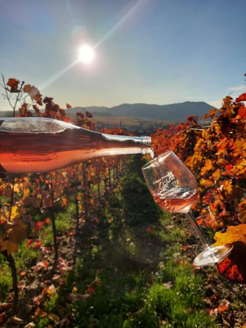 Natural landscape, Alcoholic drinks