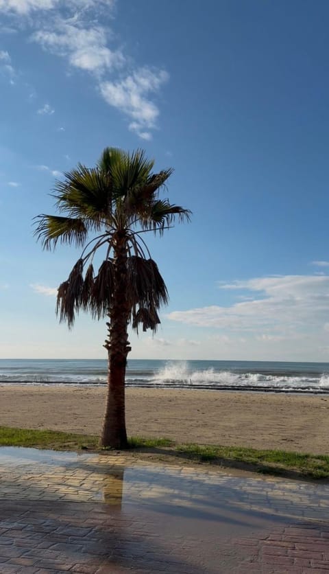 Nearby landmark, Day, Natural landscape, Beach, Sea view